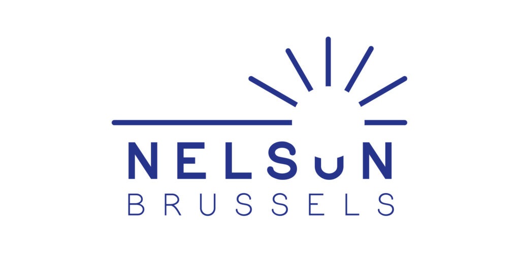 Nelsun Logo